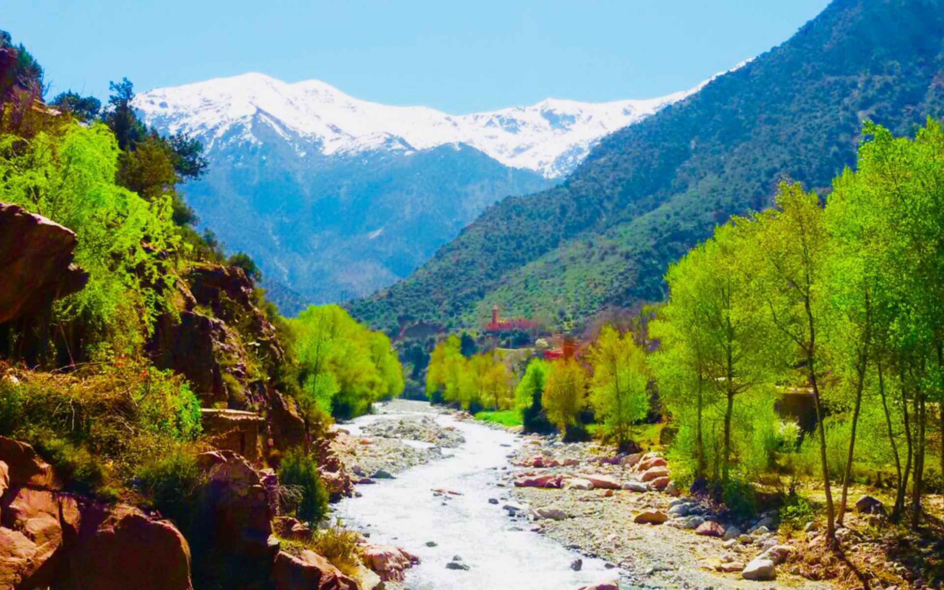 Gita di un giorno da Marrakech a valle di Ourika